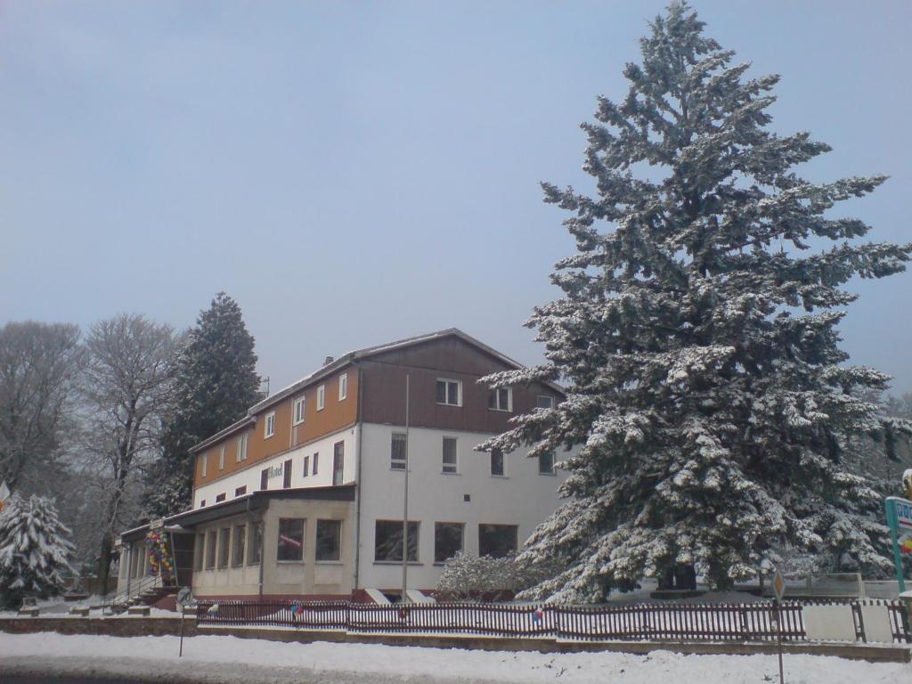 Hotel Sandplacken Schmitten Dış mekan fotoğraf